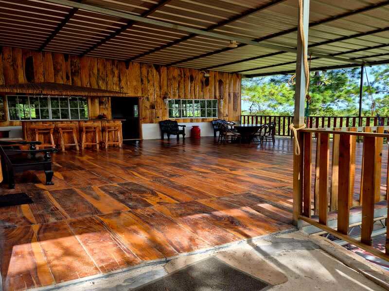 Terraza de madera con vista al bosque